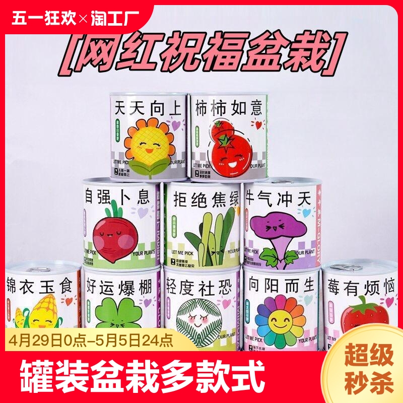 儿童罐头植物神奇桌面迷你绿植好养创意小盆栽种植草莓向日葵种子