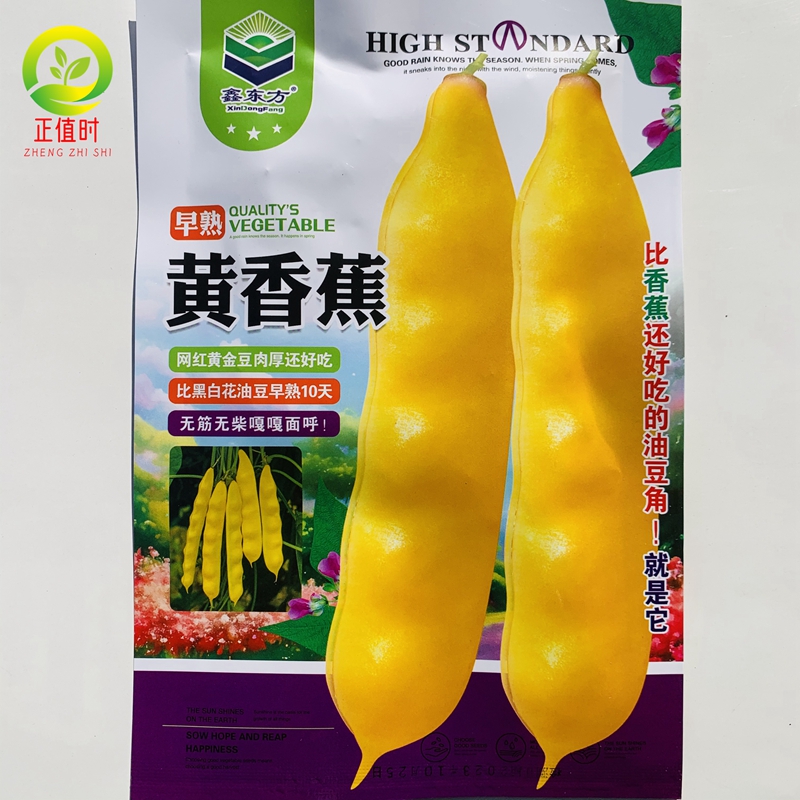 黄香蕉油豆角种籽子黄金勾地豆无筋黄色油豆角籽早熟高产蔬菜种子