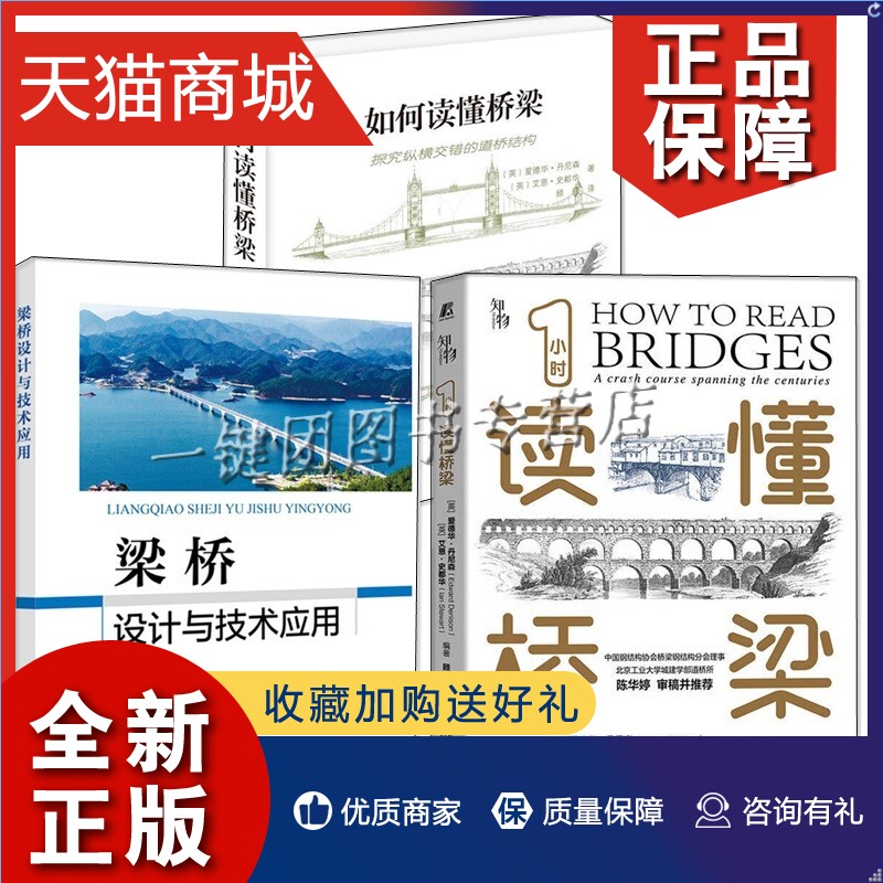 正版 桥梁设计师书籍3册 1小时读懂桥梁+梁桥设计与技术应用+如何读懂桥梁 结构和用途 梁式拱式桁架可移动悬索桥构造斜拉桥设计原