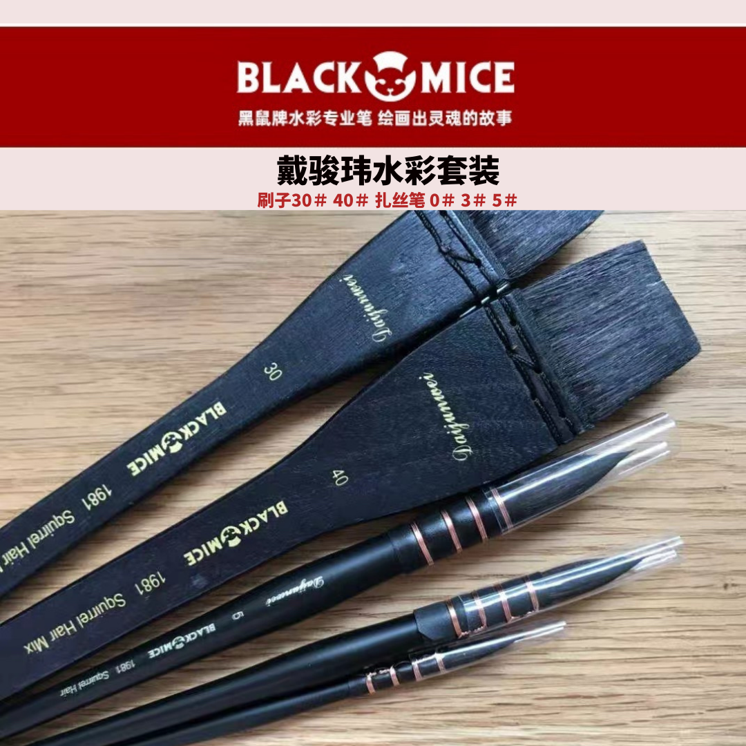 BLACK MICE 黑鼠牌戴骏玮水彩套装学员优惠价