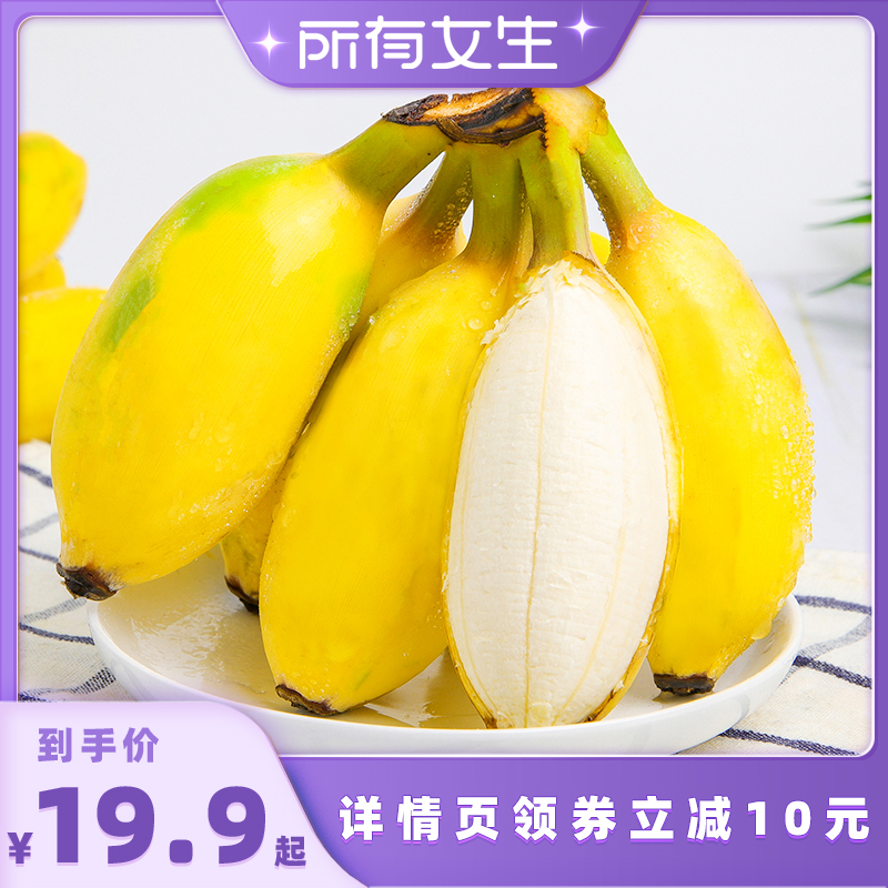 【所有女生直播间】恰好庄园广东苹果蕉1.5kg/2.5kg单果75g+水果