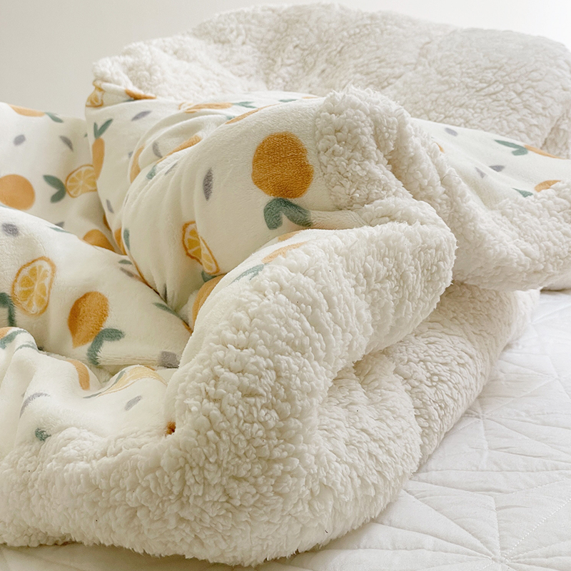 羊羔绒毛毯冬季加厚盖毯子床上用珊瑚牛奶绒被子毛绒学生宿舍冬天