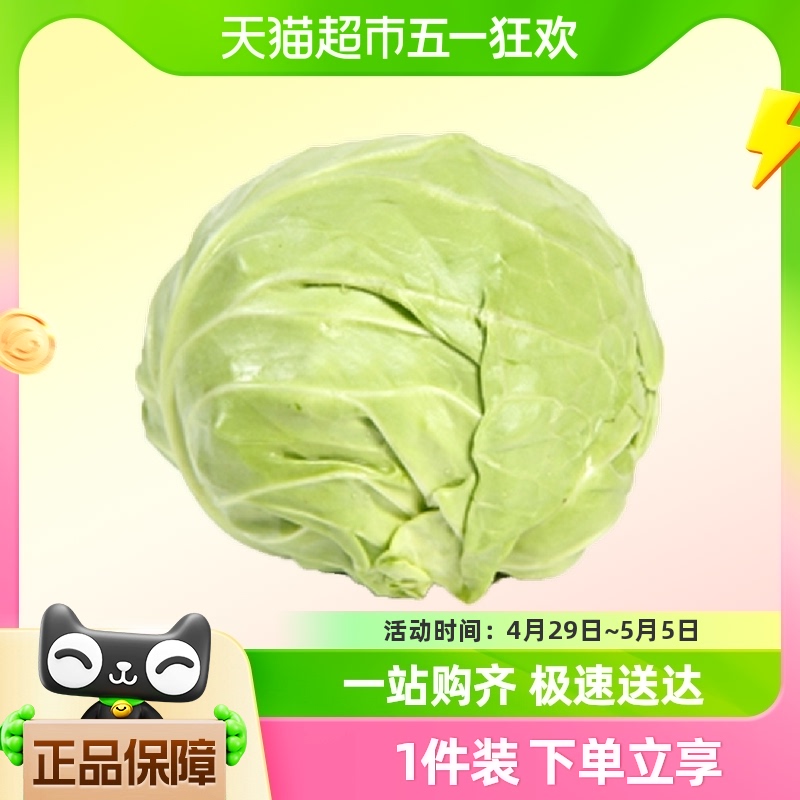 有机绿甘蓝圆白菜新鲜蔬菜配送大头菜包菜卷心菜沙拉2500g