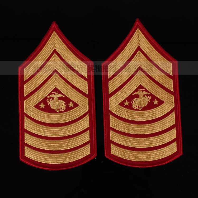 USMC陆战队礼服  总士官长E-9 兵中 臂章 徽章