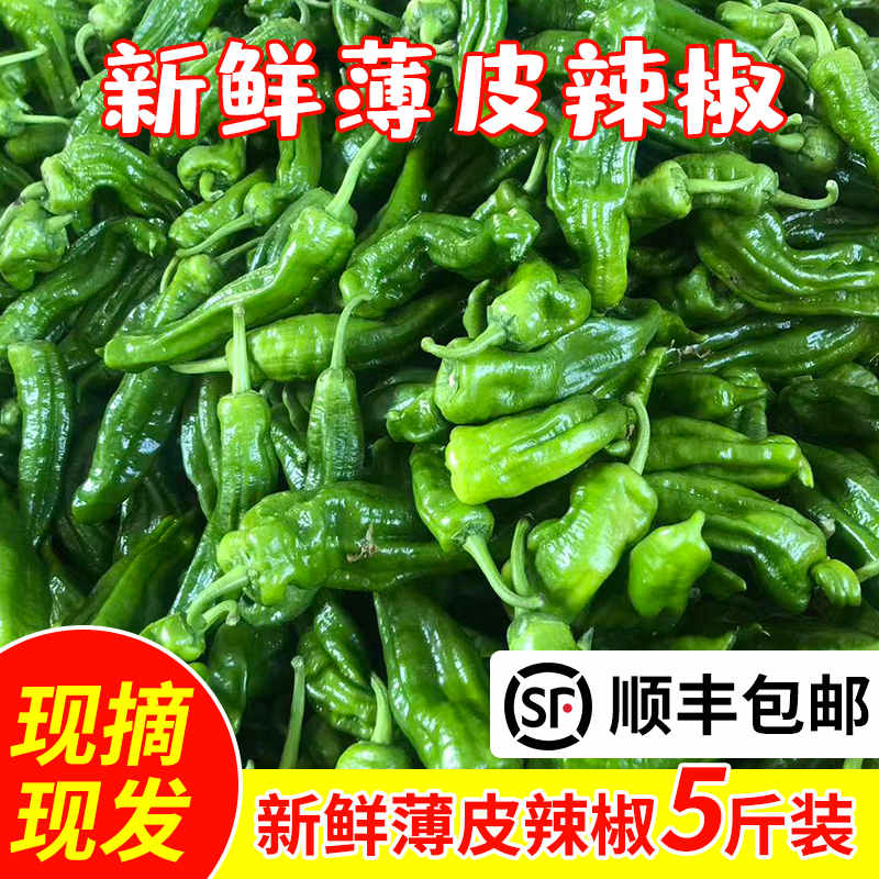 苏北农家自种新鲜虎皮薄皮青辣椒青椒菜椒牛角椒时令蔬菜现摘当季