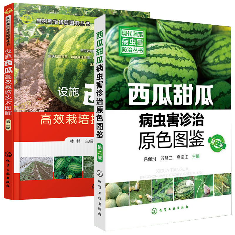 西瓜树种植最新技术
