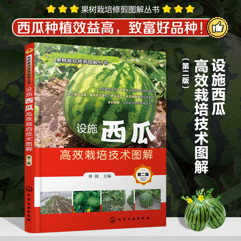 西瓜树种植最新技术