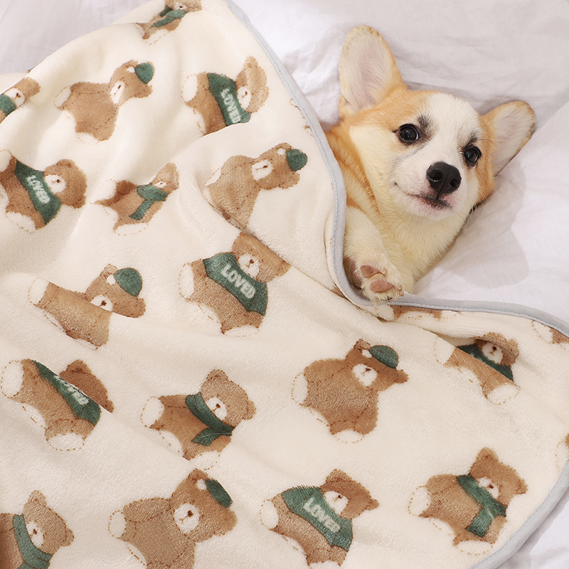 狗狗睡觉用小被子宠物专用毛毯夏珊瑚绒小狗的小毯子夏季秋天冬款
