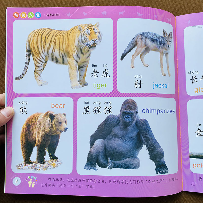 大图大字儿童认识动物书宝宝动物认知书婴儿识别动物恐龙图片图卡 儿童看图识物学认动物图大图小孩子0-1-2岁书籍早教认物书本