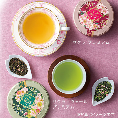 现货 日本 绿碧茶园 LUPICIA 2024年高品质 樱花系列 高级茶