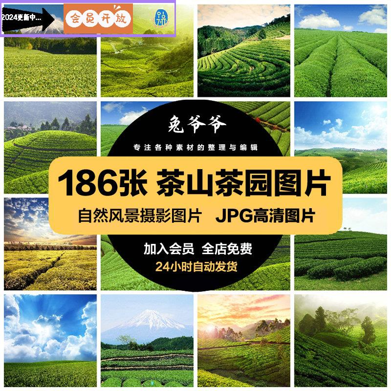 高清自然风景JPG图片茶园茶山茶叶有机绿茶梯田喷绘打印合成素材