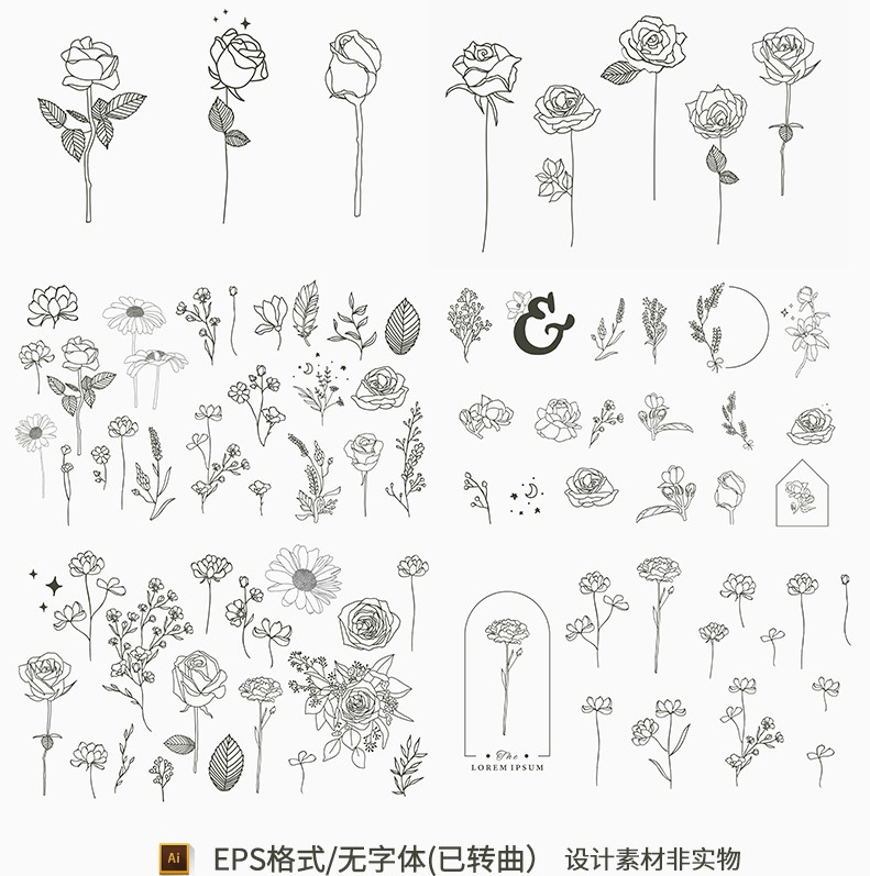 黑白装饰画植物花卉