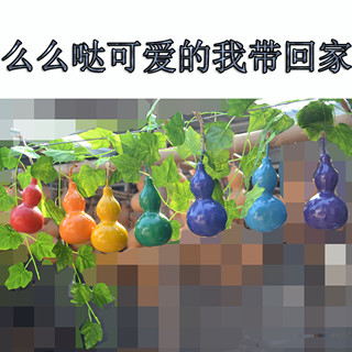 天然七彩葫芦装饰品摆挂件儿童环保彩绘葫芦玩具七色葫芦娃包邮