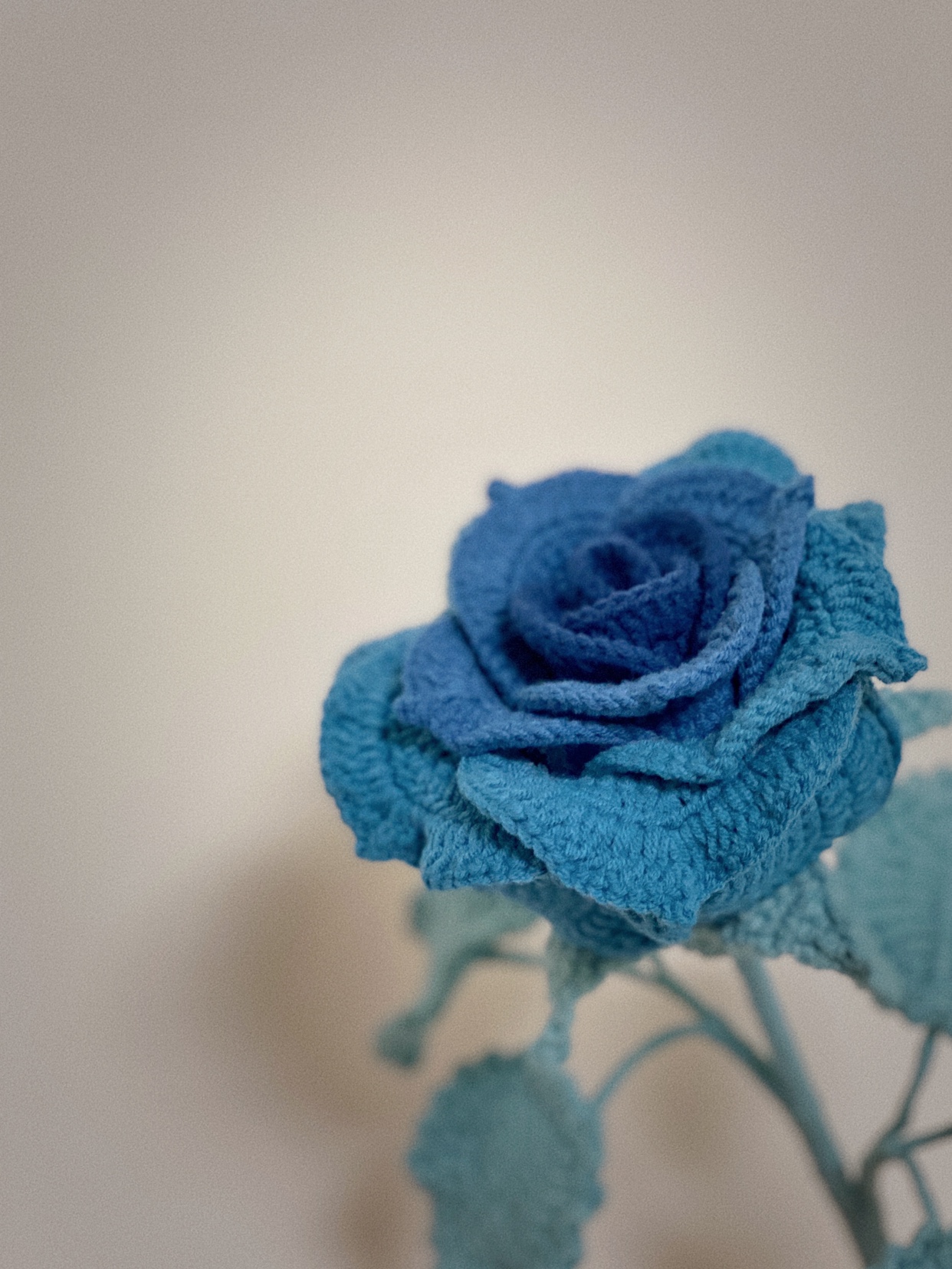 是薇薇呀｜泰国玫瑰diy手工编织材料包永生花花朵花束情人节礼物