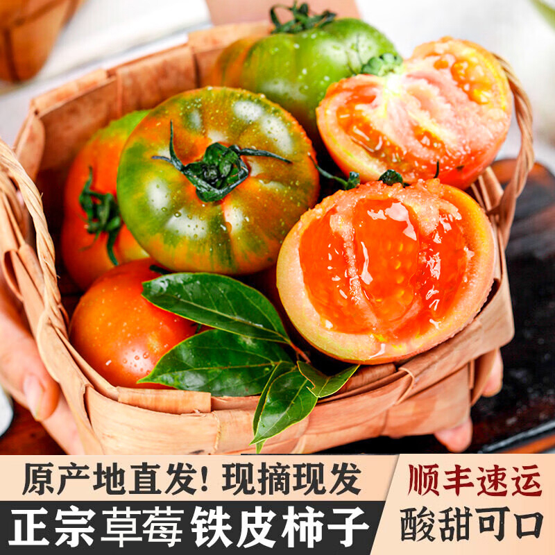 铁皮草莓柿子西红柿新鲜自然熟孕妇儿童生吃酸甜多汁水果农家番茄