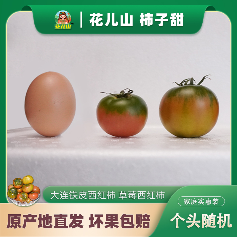 【家庭实惠装】顺丰 个头随机 铁皮西红柿  草莓番茄 碱地绿腚柿