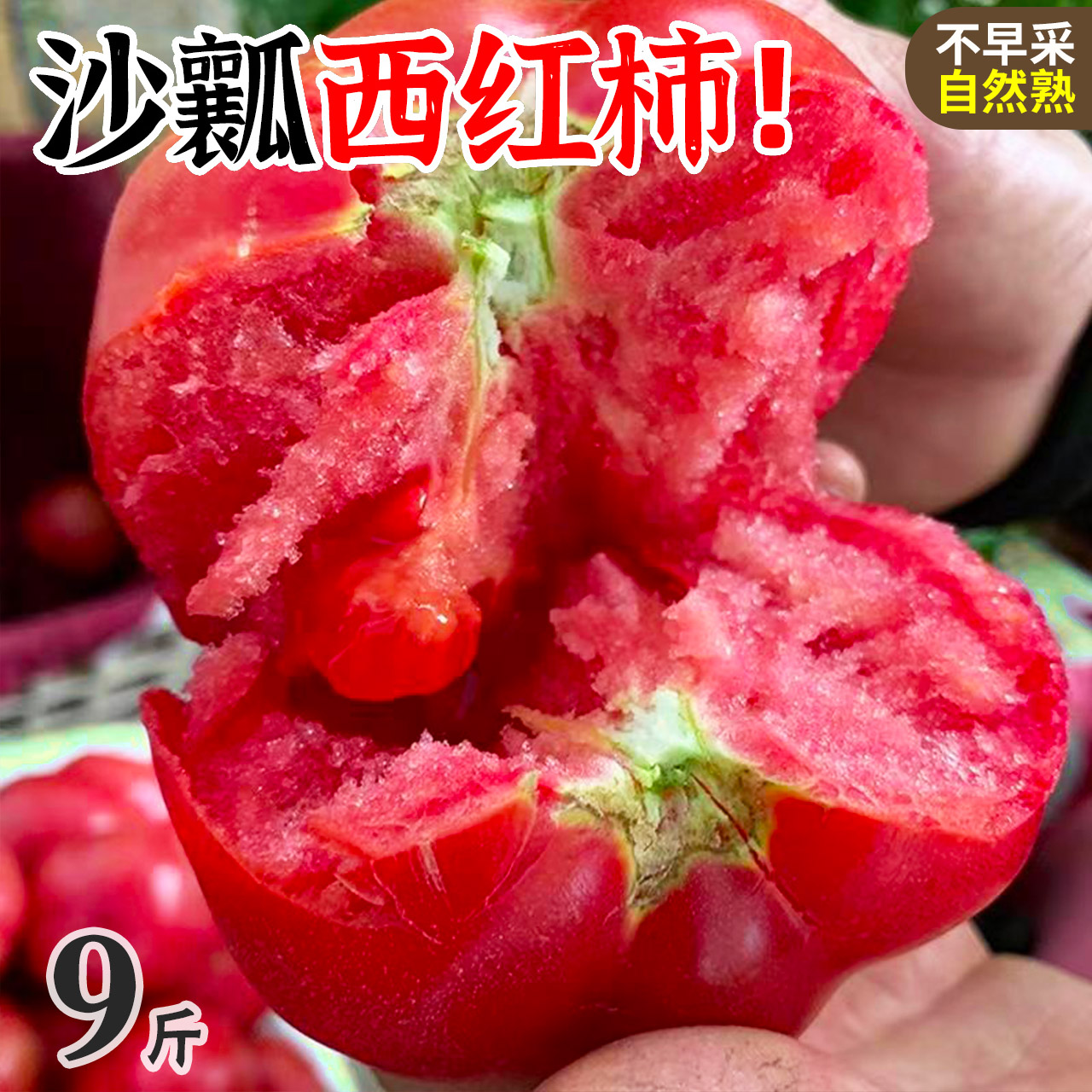 西红柿新鲜普罗旺斯当季水果番茄自然熟沙瓤蕃茄10斤大生吃的蔬菜