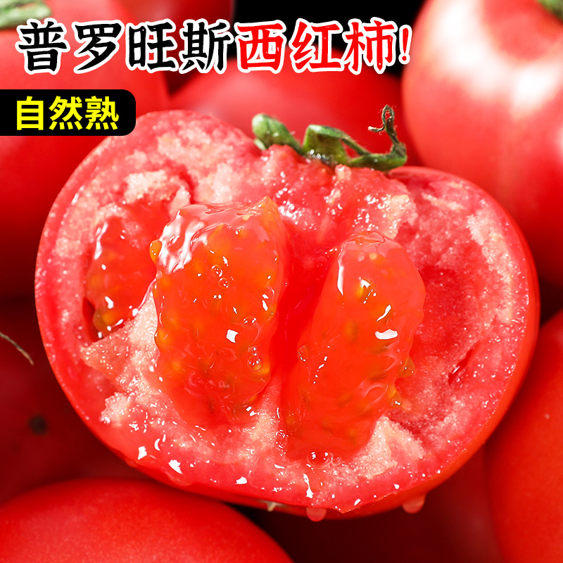 西红柿新鲜普罗旺斯水果番茄自然熟沙瓤蕃茄10斤大生吃的当季蔬菜