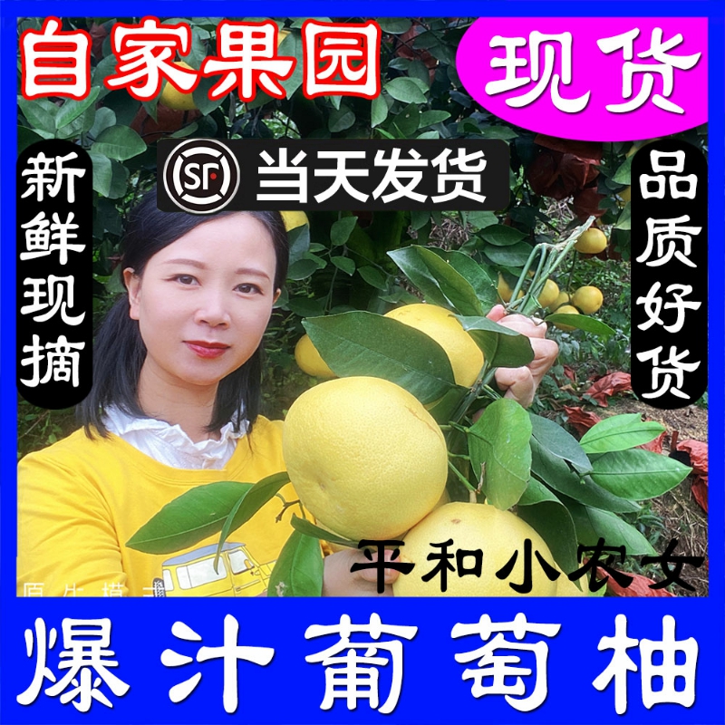 台湾爆汁黄金葡萄柚黄肉西柚子青皮柚新鲜水果纯礼盒甜鸡尾柚
