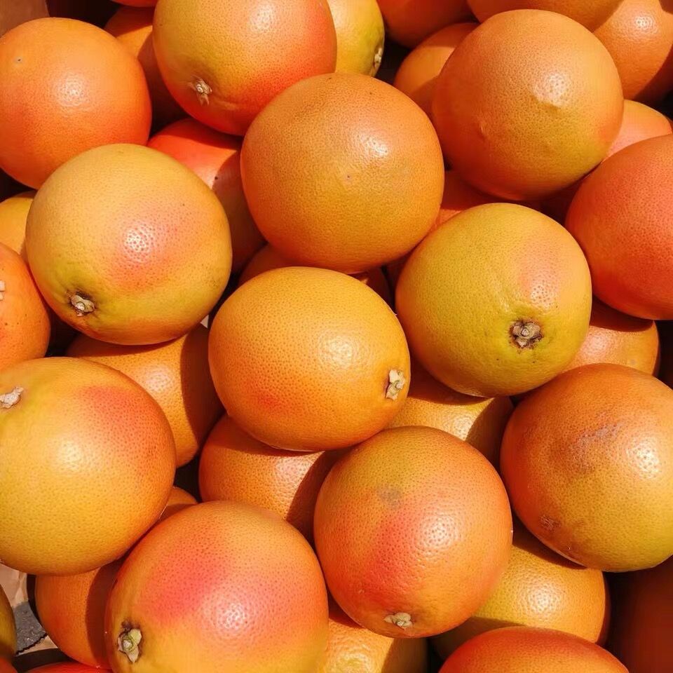 南非进口红心西柚包邮新鲜当季柚子孕妇水果整箱爆汁葡萄柚大果