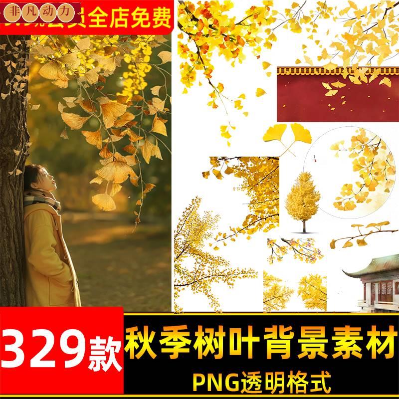 唯美手绘秋季黄色银杏树叶子落叶PNG免扣图片后期ps背景装饰素材