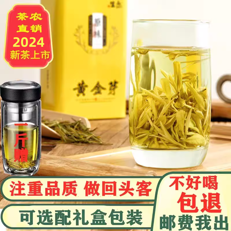 2024新茶正宗黄金茶安吉雨前白茶特级黄金芽茶叶散装绿茶250g罐装