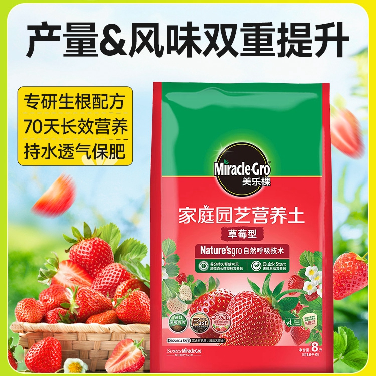 草莓专用营养土美乐棵红颜章姬奶油雪里香宁玉白雪公主草莓种植土