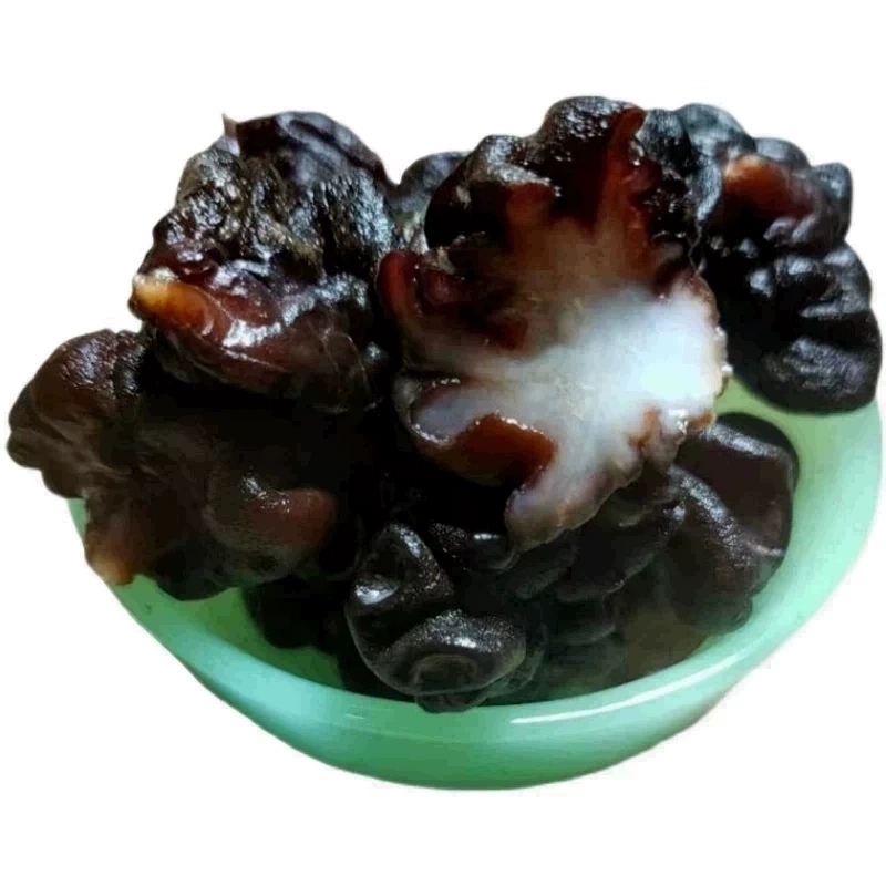 500g猴脑菇小个头核桃菌松花菌海参菇玛咖菌黑球菌素食餐厅黑松菌