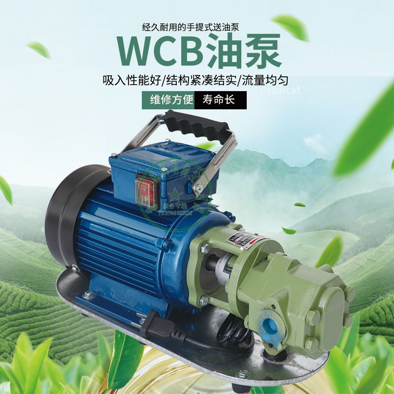 直销 WCB齿轮油泵 手提泵润滑泵抽油泵 柴油泵  齿轮泵