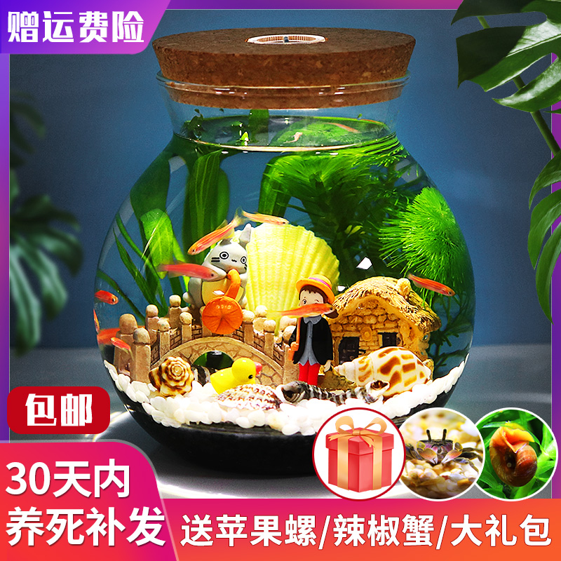 生态瓶微景观水族箱造景斗鱼缸办公桌面客厅玻璃鱼缸生态球微景观