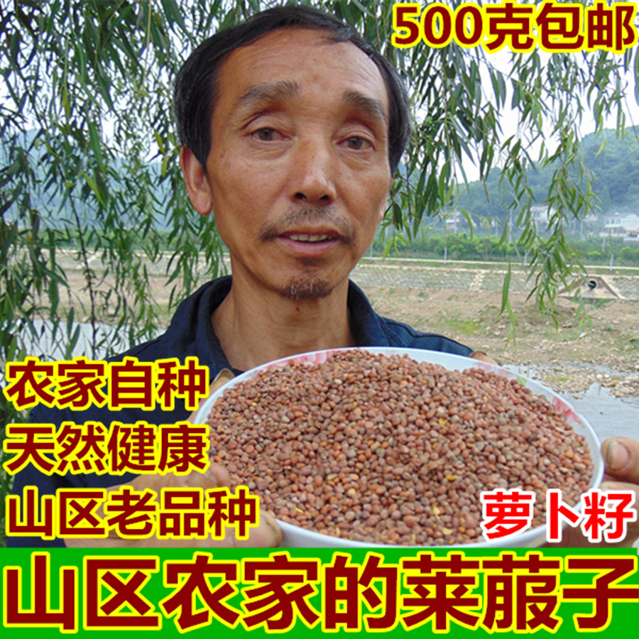 【农家莱菔子】萝卜籽 来服子罗卜子萝白子菜头子大别山自种500克