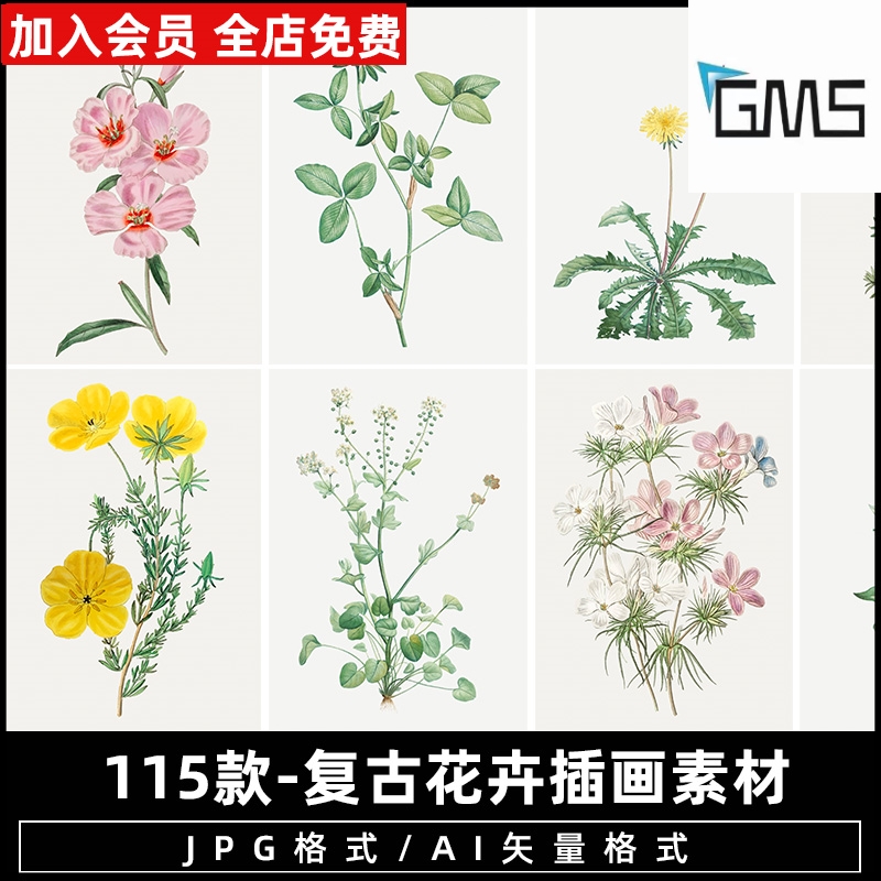 【花草】复古手绘水彩写实花卉花朵花草植物叶子插画AI矢量图素材
