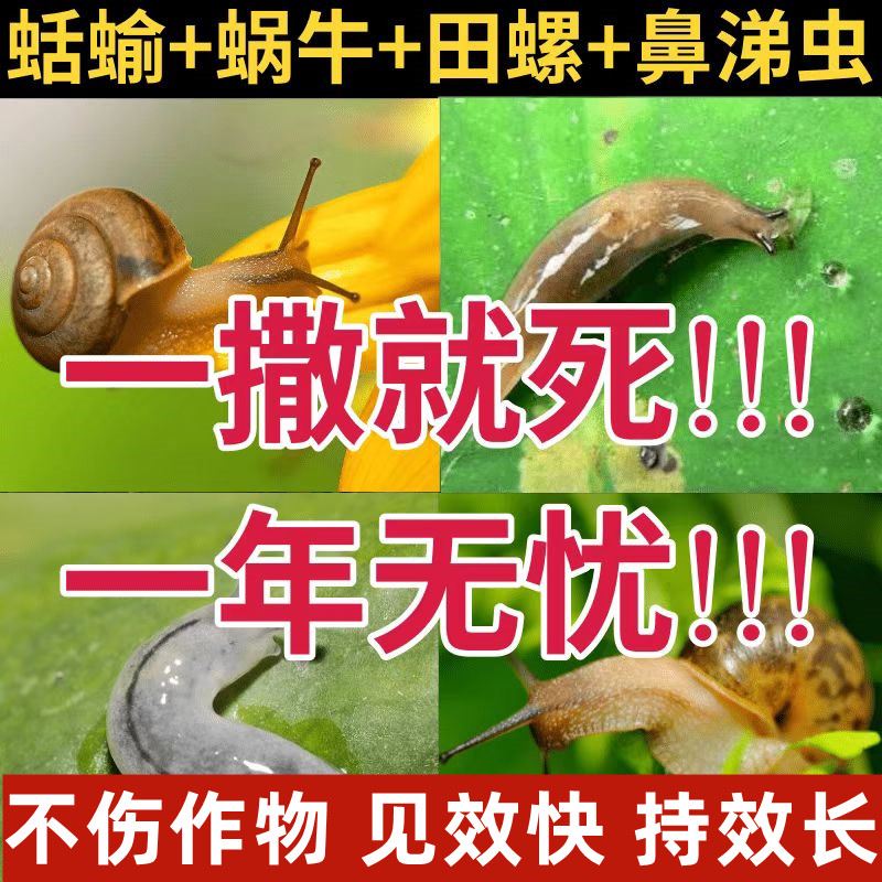 鼻涕虫专用药杀蜗牛蛞蝓田螺杀虫剂软体虫家用菜地杀死蜗牛的药