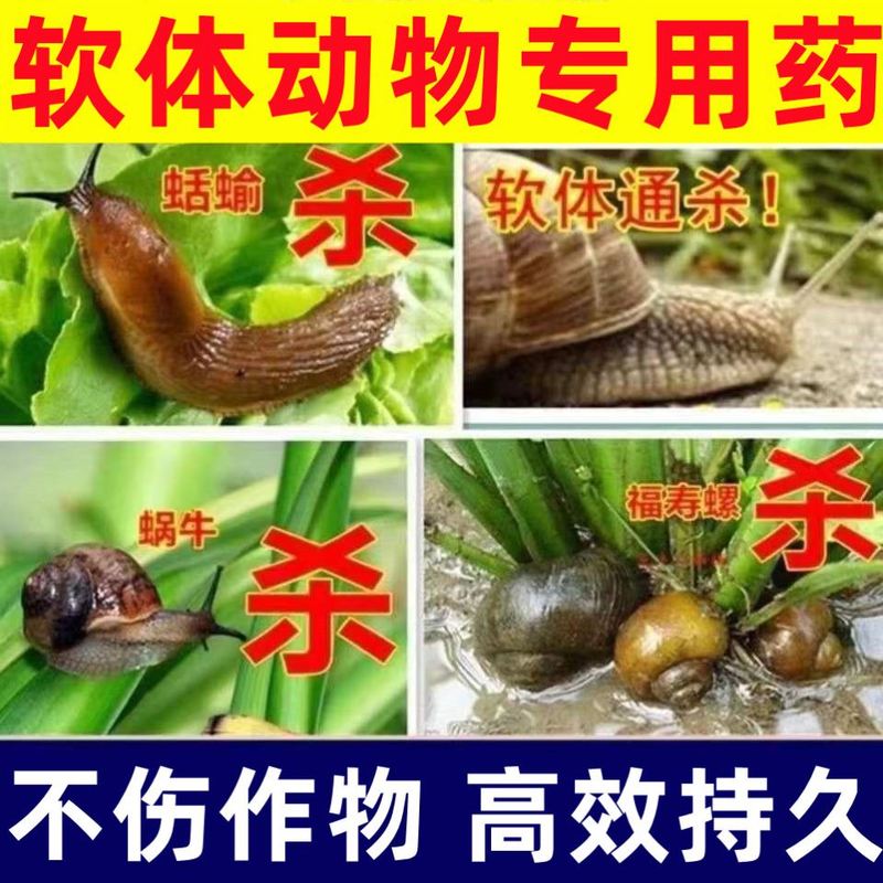 鼻涕虫专用药杀蜗牛蛞蝓田螺杀虫剂软体虫家用菜地杀死蜗牛的药