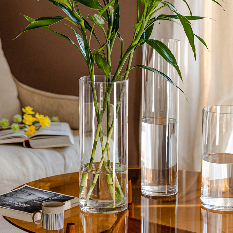 花瓶摆件客厅插花玻璃轻奢高级感透明高直筒富贵竹雪柳百合落地大