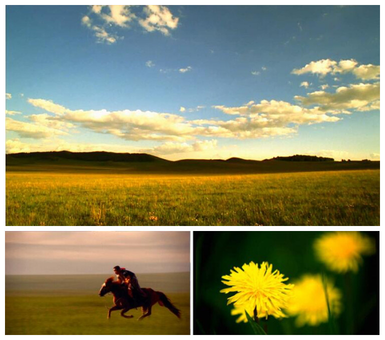 美丽草原我的家舞台背景 led动态视频素材 草原风光 蓝天白云草地