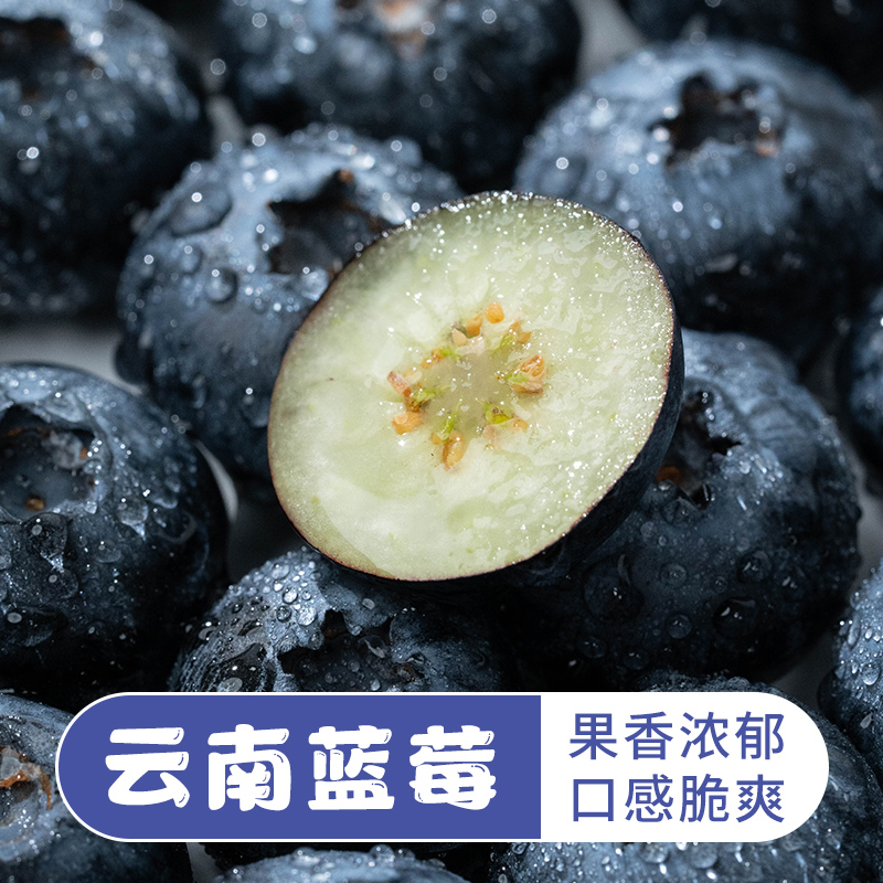 云南蓝莓新鲜水果鲜果甜脆浆果现摘