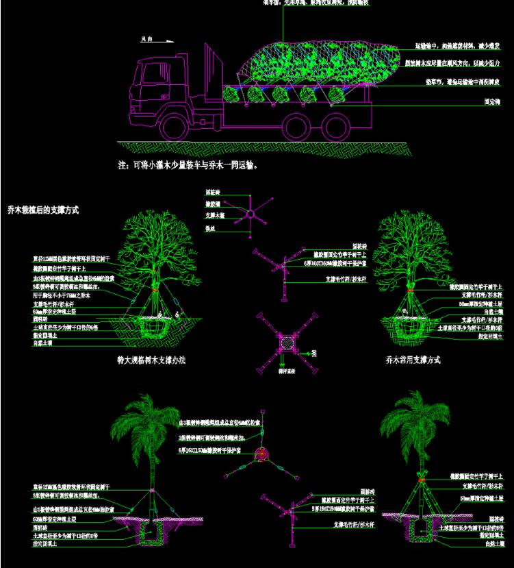 植物乔木栽植后支撑方式苗木灌木绿化群落种植种植说明CAD施工图