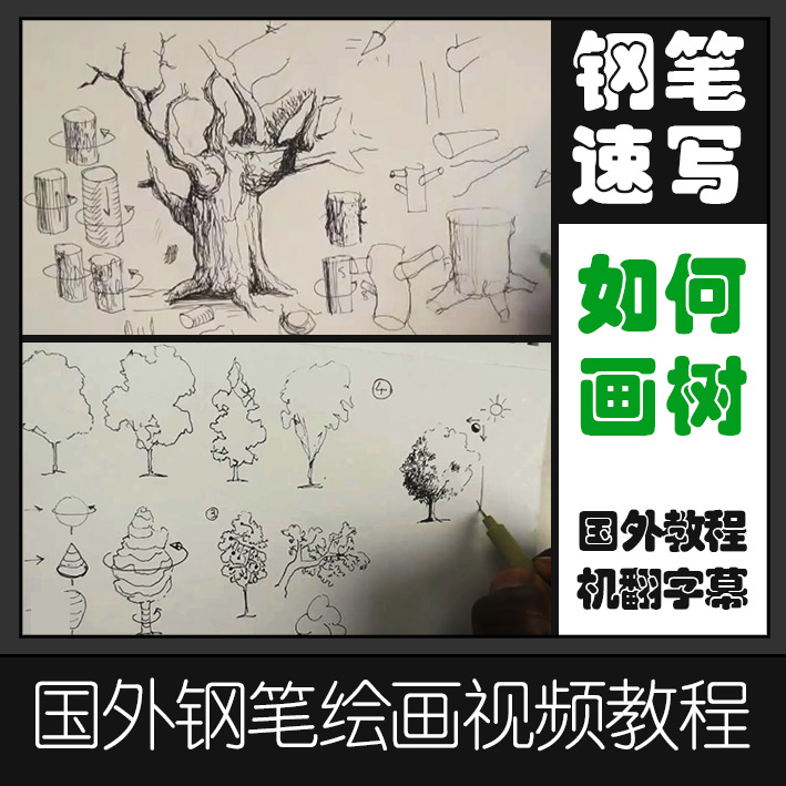 SKA4如何画树钢笔速写基础教程入门视频树的画法绘画教程素材