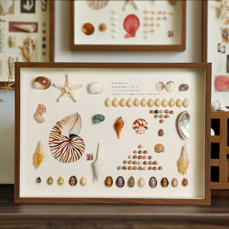 天然贝壳海螺标本挂画手工艺品摆件相框diy制作家居创意装饰品画