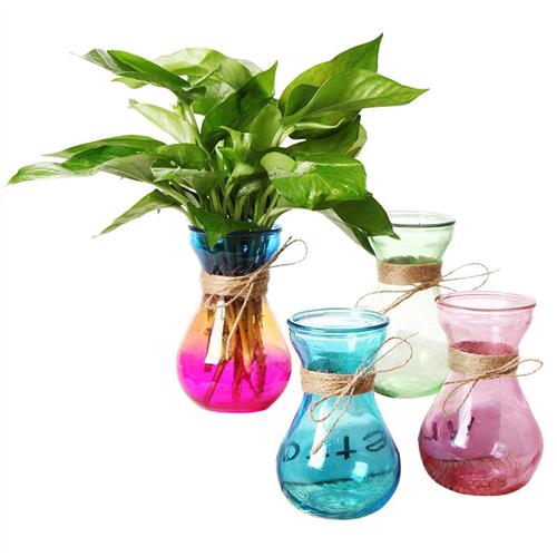 玻璃彩花瓶水培植物绿萝容器养花透明瓶子水生水养花卉风信子瓶子