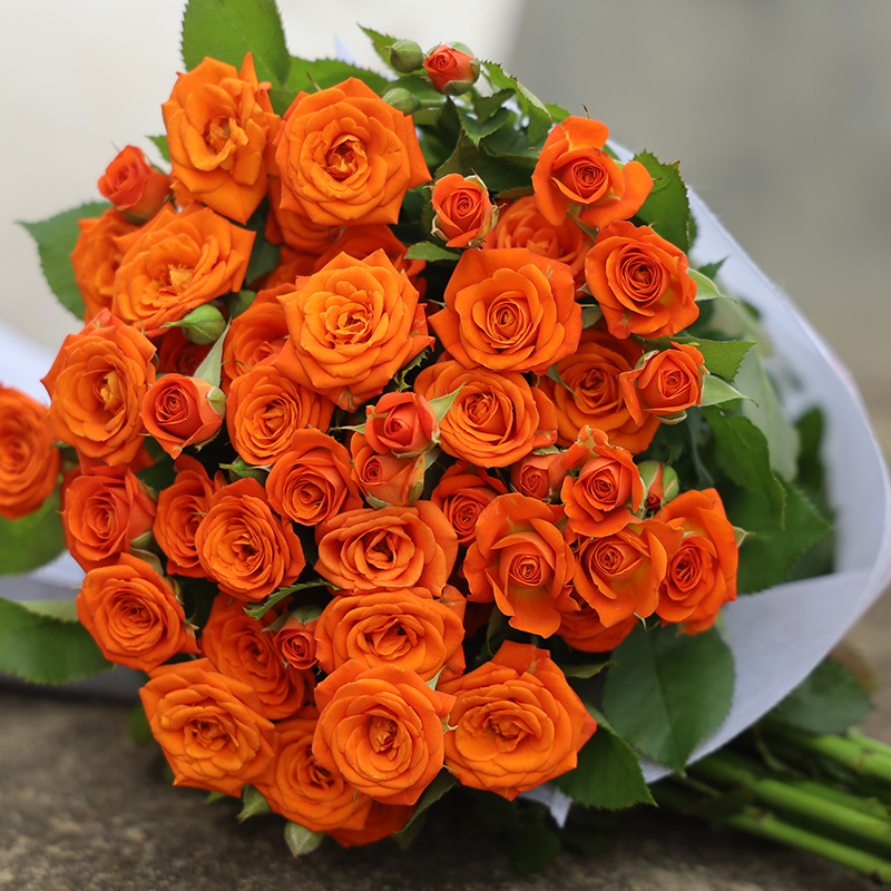 橙色芭比多头玫瑰折射泡泡一束云南基地鲜花现摘发货玫瑰鲜花红玫