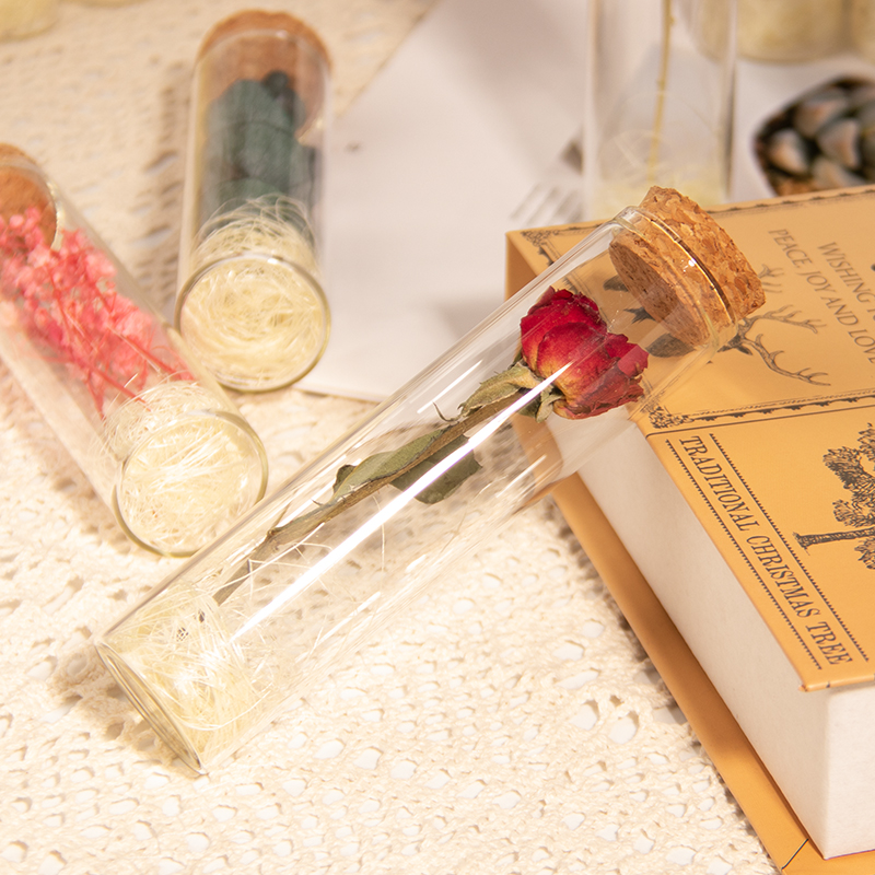 一朵玫瑰干花红花玻璃试管标本小花束一支520情人节摆件 生日礼物