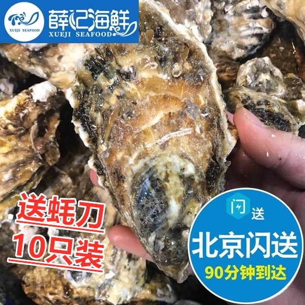 送蚝刀 10只装 北京闪送 鲜活乳山生蚝 牡蛎海蛎子 烧烤 海鲜水产