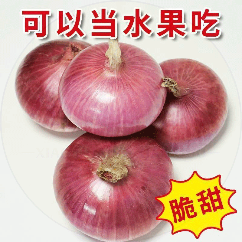 云南农家现挖水果小洋葱9斤装甜味生吃5紫皮圆葱头蔬菜新鲜农家