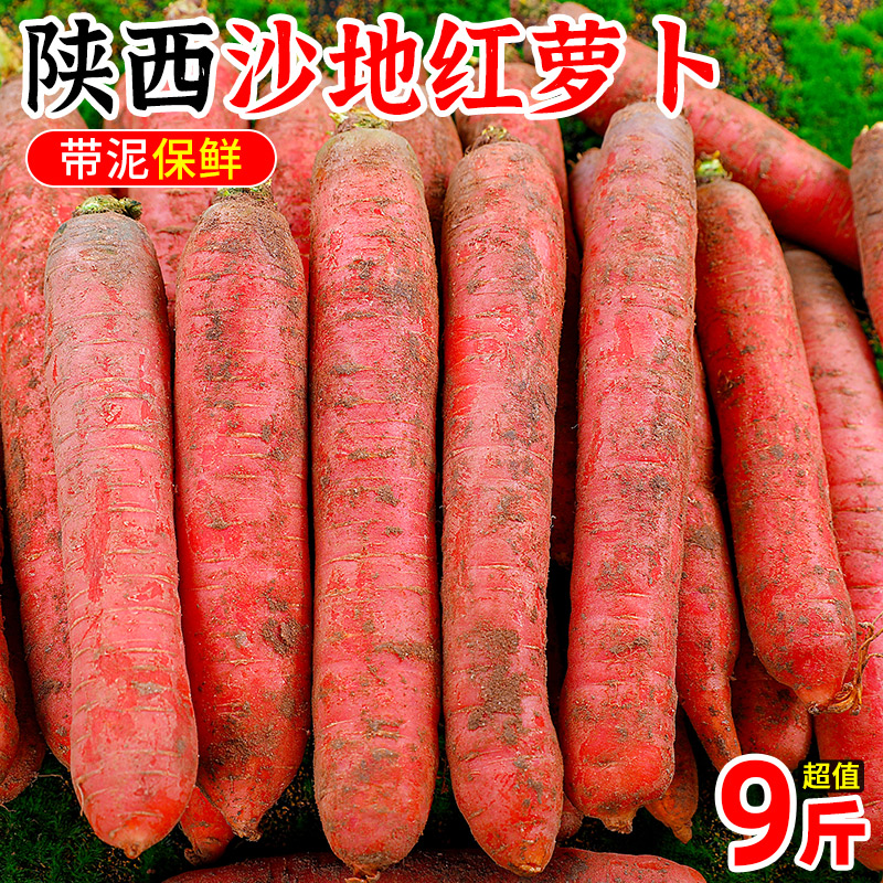沙地红萝卜9斤陕西胡萝卜当季农家新鲜蔬菜生吃水果红心罗卜5包邮