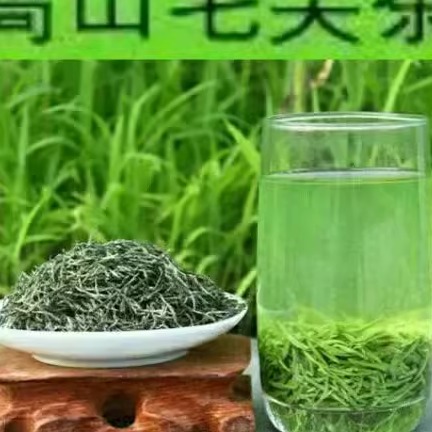 2024农家湖北保康新茶毛尖特级茶叶手工绿茶天然人工采摘炒青250g
