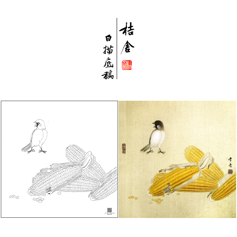 【大彩图】龚雪青工笔画白描底稿斗方《玉米小鸟》花鸟线稿XQ29