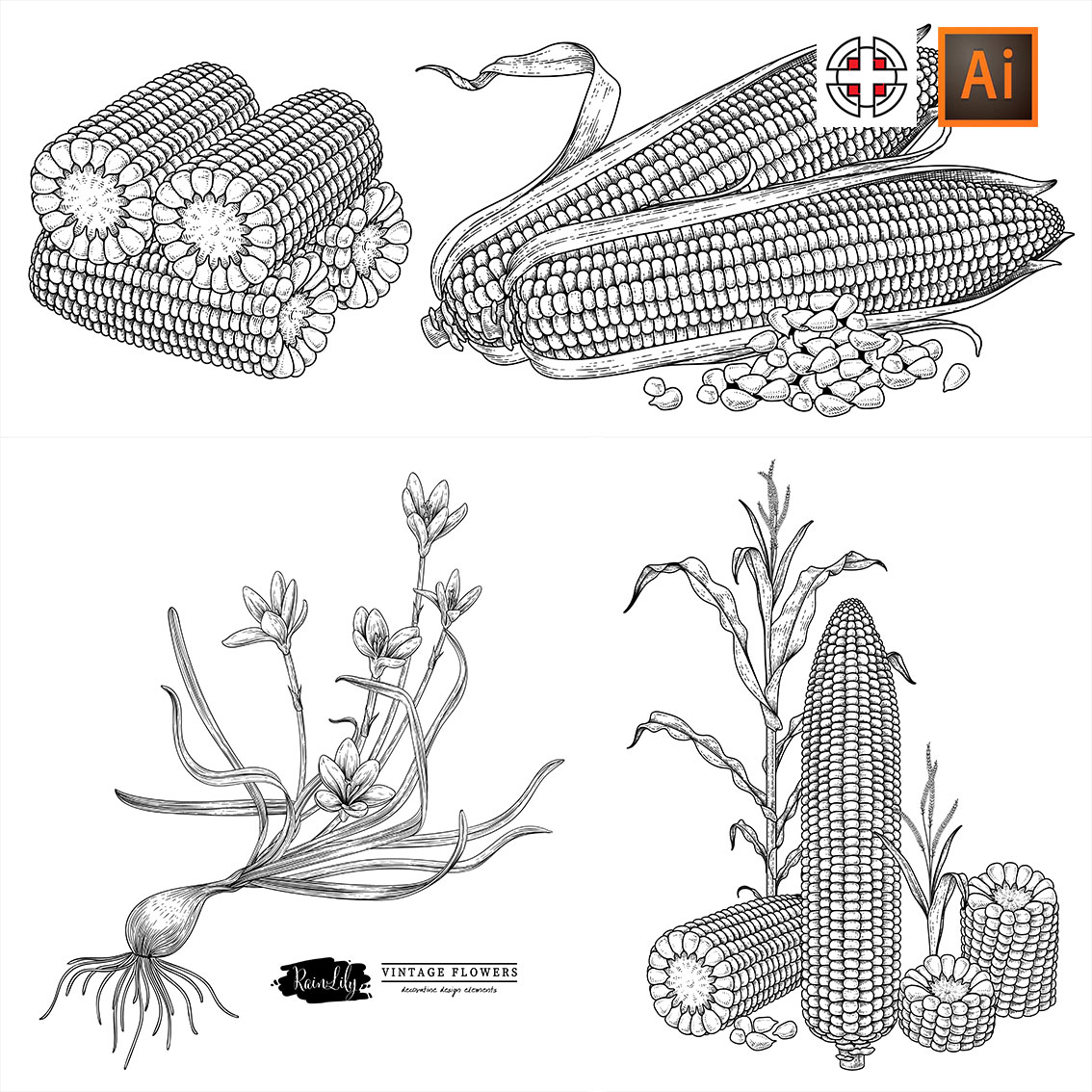 百合花玉米白描线条素描插画AI矢量设计素材