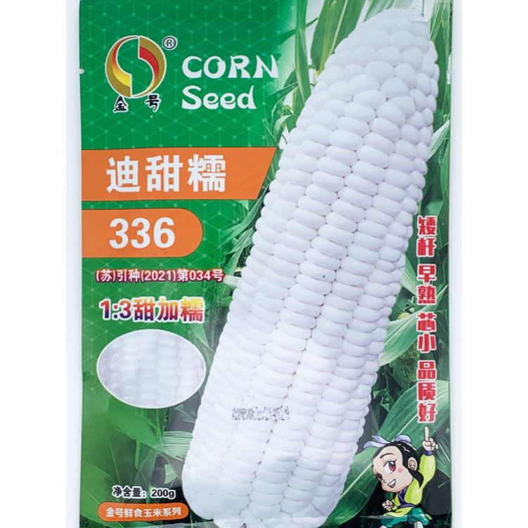 金号迪甜糯336白甜糯玉米种籽高产春季早熟矮杆甜加糯白玉米种子